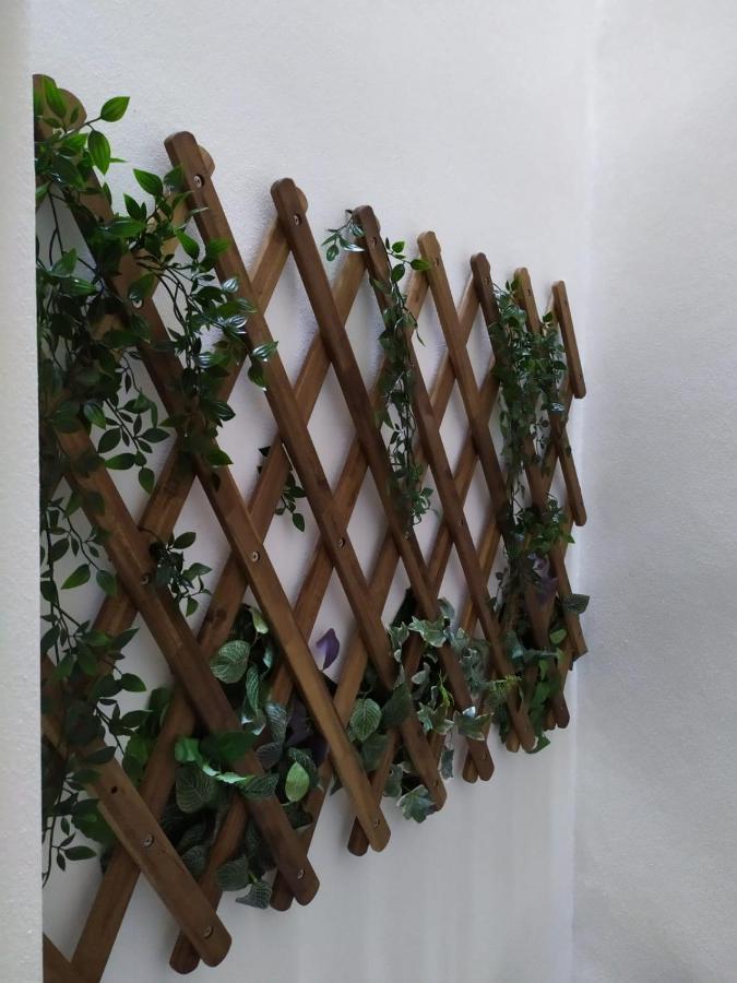 Casa Urquinaona Apartment Cadiz Ngoại thất bức ảnh